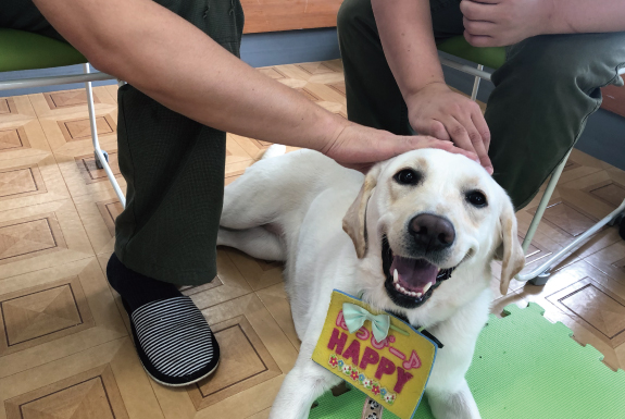 災害救助犬の大活躍