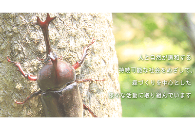 任意団体として設立