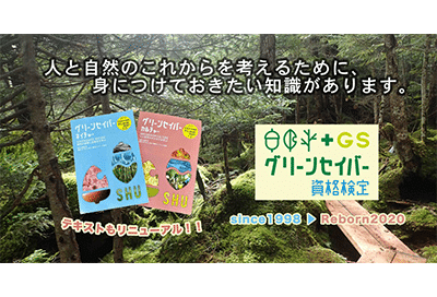 検定試験をスタート