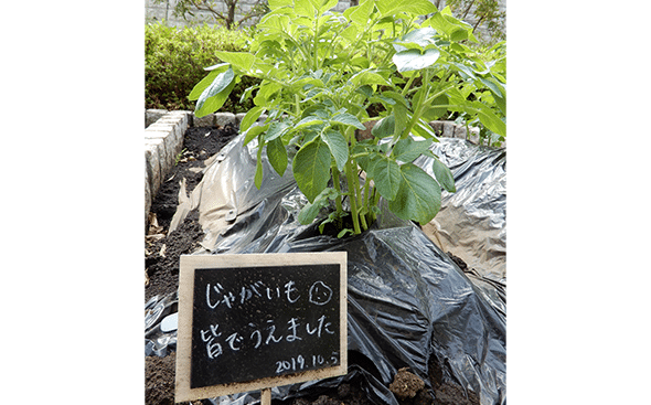 森の恵みを社会に活かす