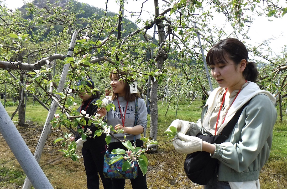 畑を守り、農山村地域を応援する