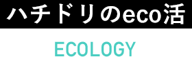 ハチドリのeco活