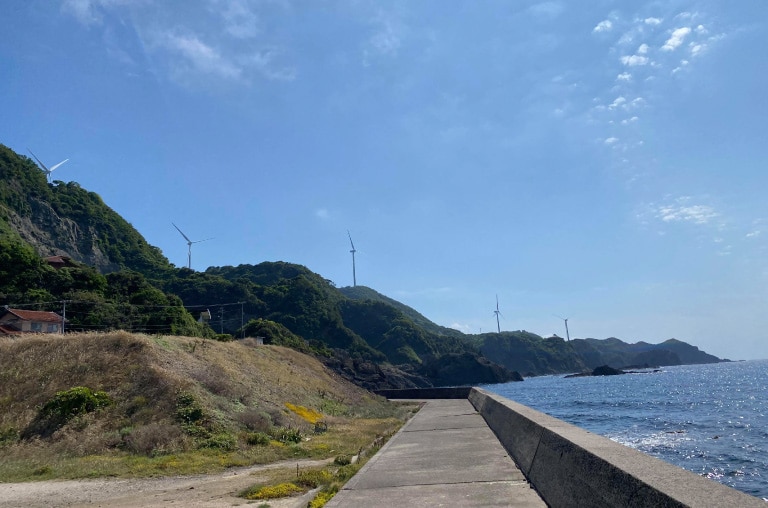 画像6