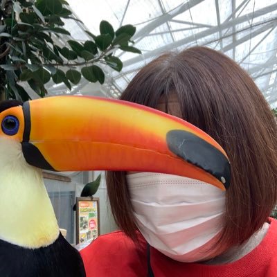 アイコンイメージ