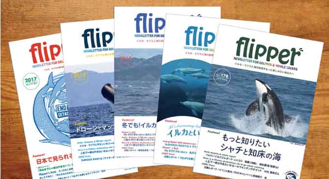 イルカ・クジラと自然に学び、感じるフリーペーパー